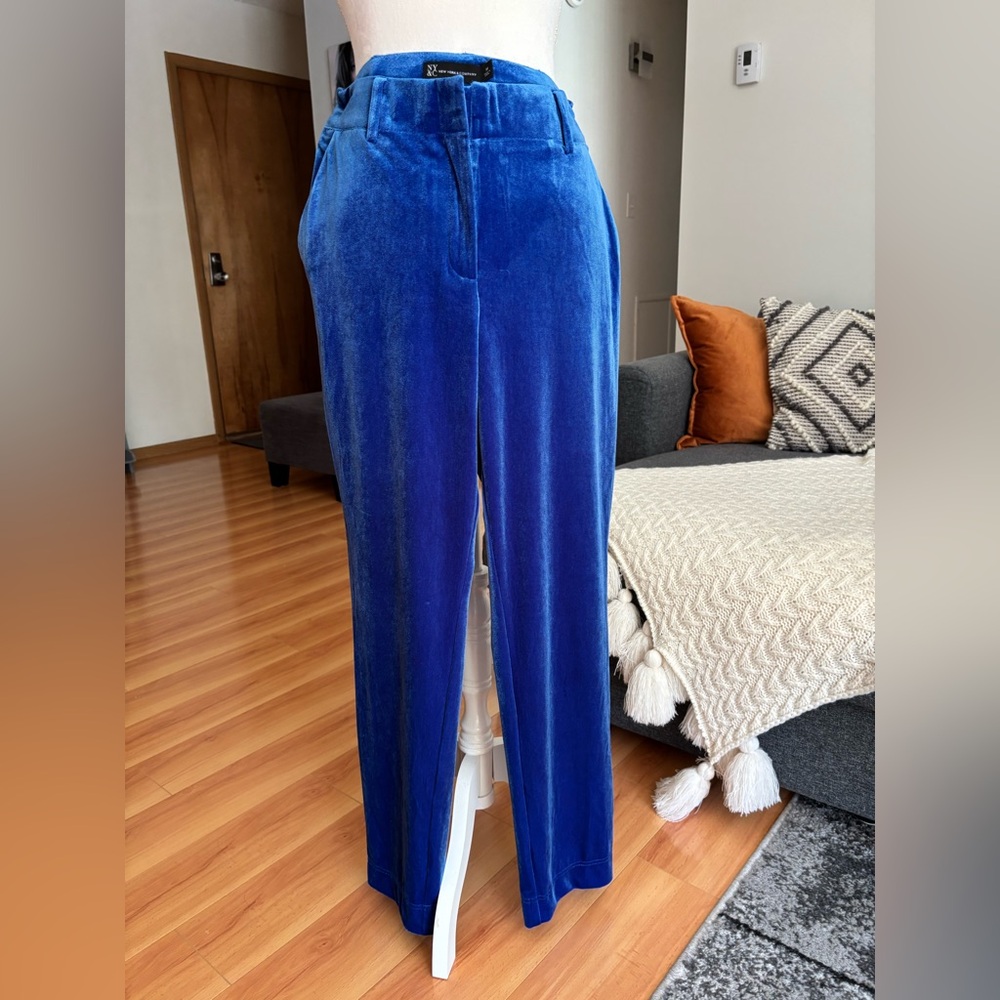 New York & Company Royal Blue Velvet Trousers